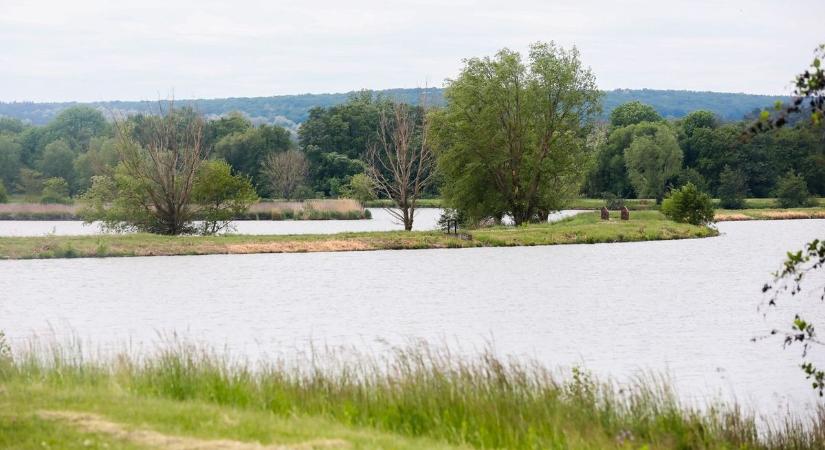 Azbeszt-ügy: változott a parkolási rend az Abért-tónál