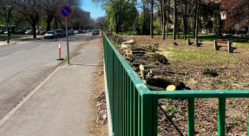 A kórházi parkolók bővítésénél kezdődnek a földmunkák