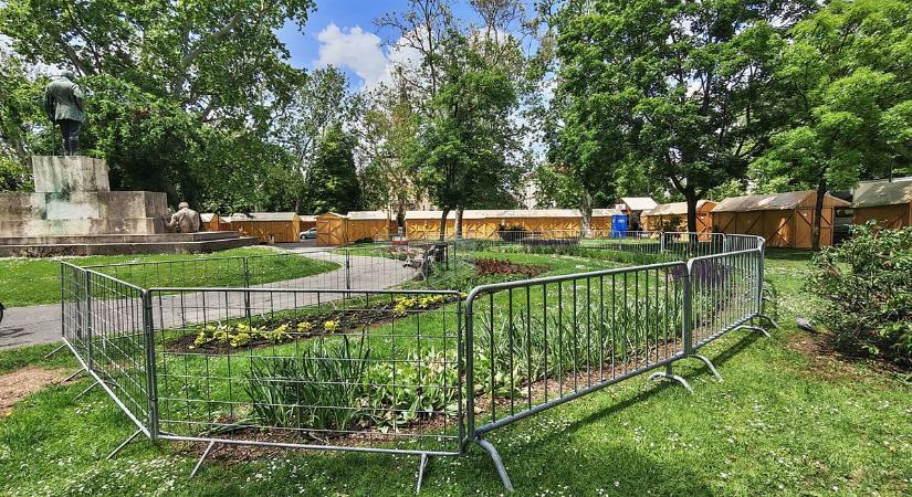 Kordonnal vették körbe a Széchenyi tér virágait, a szegediek rögtön vitázni kezdtek