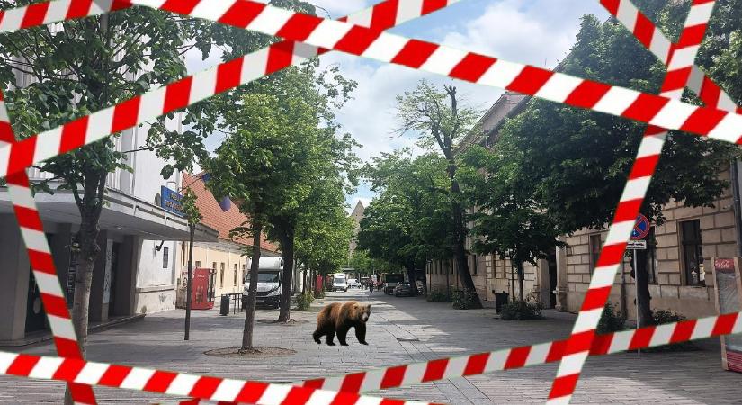 Egy szegény kis adófizető panaszai