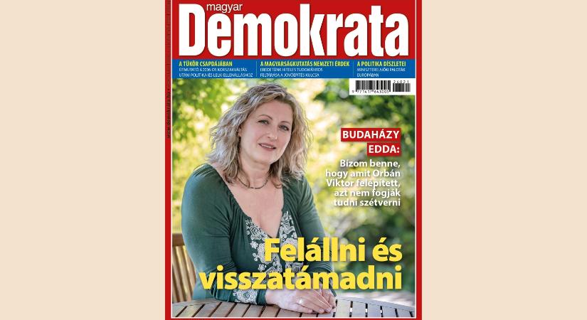 Felállni és visszatámadni