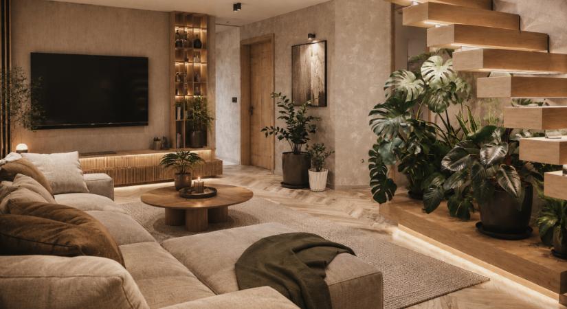 5 stílusos szobanövény modern lakásokba