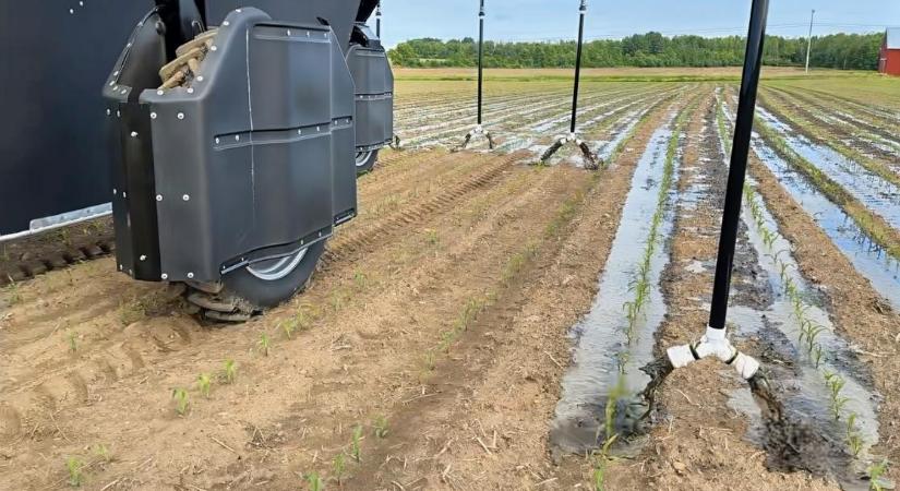 Hogyan segít a 360 Rain öntözőrobot a vízmegtakarításban?