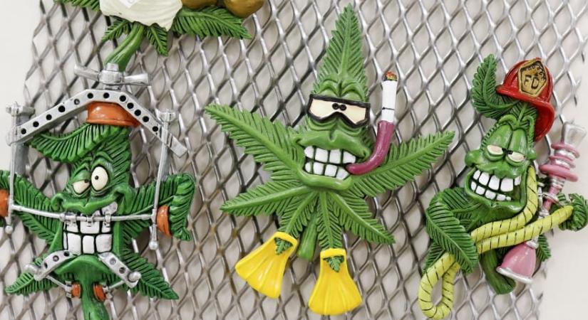 Egereknek adtak kannabiszt, a hatás nem maradt el
