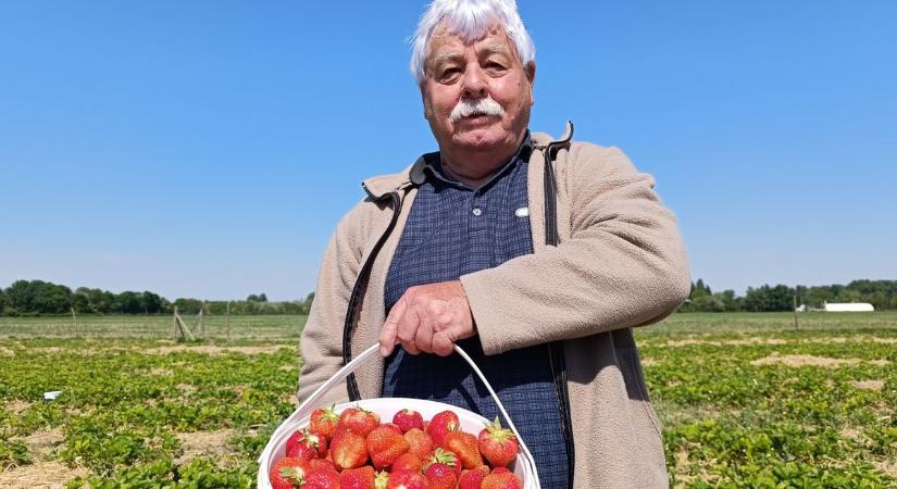 Eperországban jártunk: a mosonmagyaróvári helyszínen ilyen a kínálat és az ár