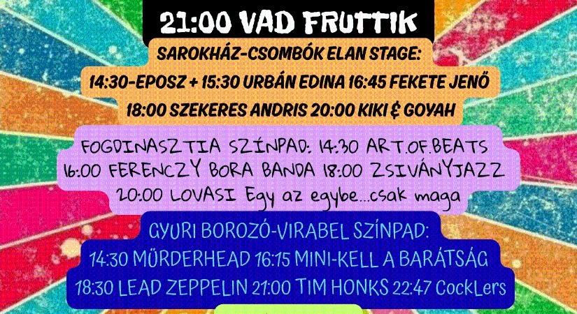 XII. Vagabond Korzó