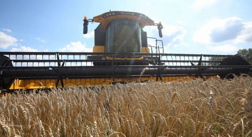 Megszűnt az ukrán agrártermékek behozatali tilalma – megszólalt a MAGOSZ is