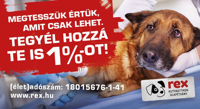 Mi megtesszük értük, amit lehet – tegyél hozzá Te is 1%-ot!