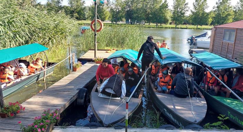 Halálos növény lapulhat a Tisza-tónál: már az érintése is veszélyes lehet