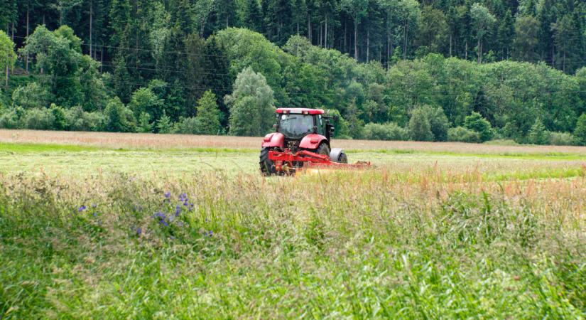 Közeleg a határidő: sok magyar ráfázhat, aki ezt nem intézi el május 31-ig