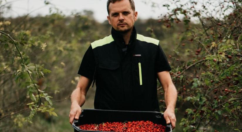 Fekete berkenye és ősi almák: Különleges oázis épül Sármellék határában
