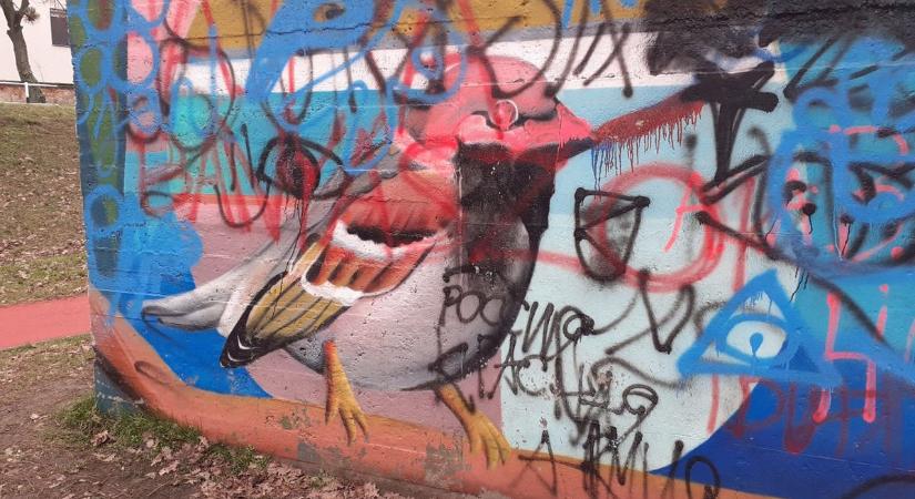 Brutális, mekkora kárt okozott a graffitis huligán Vasban