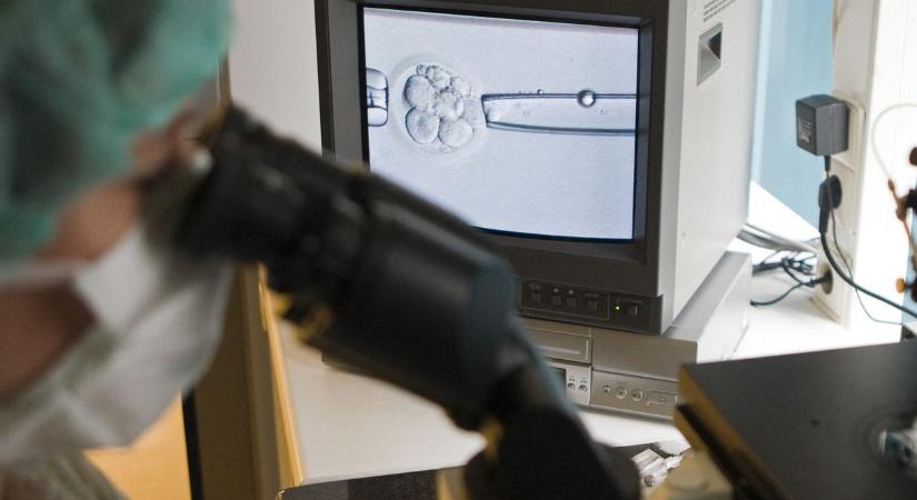 Embriót teszteltek egy genetikailag öröklődő izomsorvadásos betegségre a Semmelweis Egyetemen, azóta a kisfiú meg is született