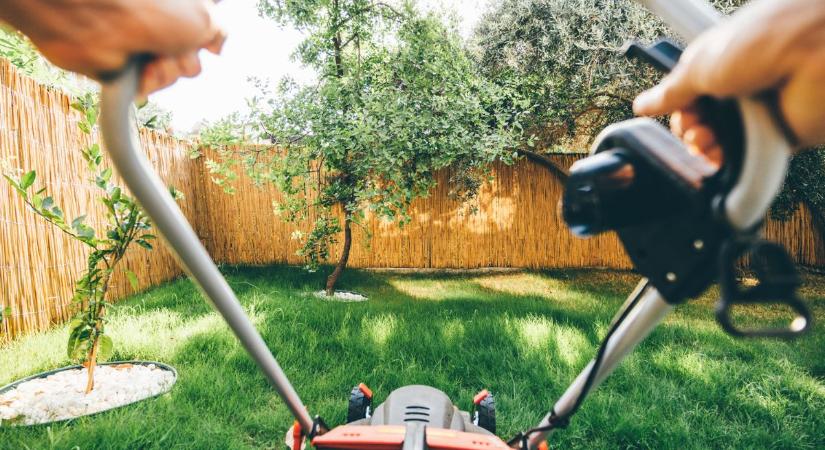 Nem mindegy az időzítés – Meseszép lesz a gyep, ha ekkor nyírod