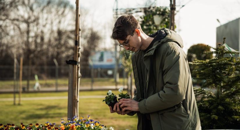 Kertek alatt – Virágzás és beporzás