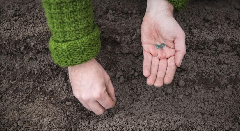 Brutálisan átalakulhatnak a magyar kertek: ezek a növények maradhatnak életben az aszályban