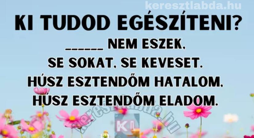 Napi irodalom feladat: Tiszta szívvel, kötelező volt, de tudod, mióta nem evett a lírai én?