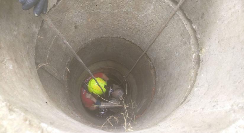 Idős hölgyet mentettek ki a kútból Gyékényesen