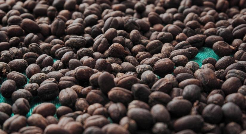 Így verik át a kávéimádókat: ezzel helyettesítik a kávébabot