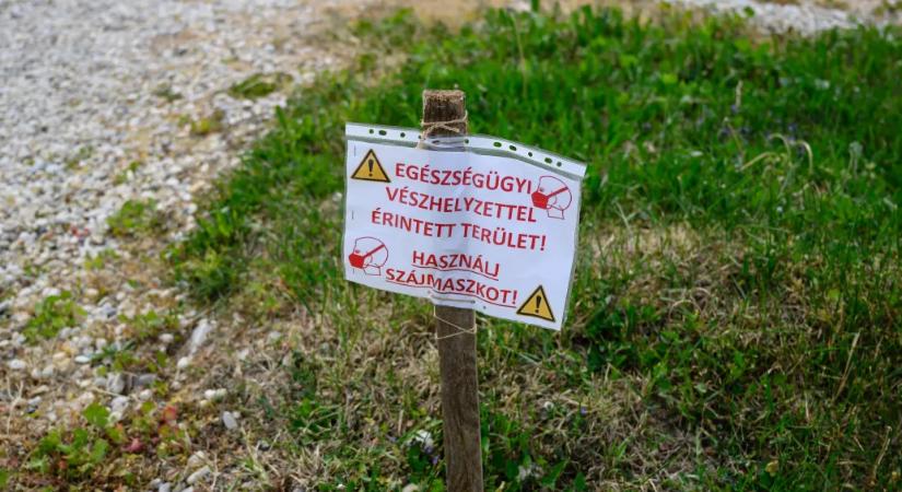 Az osztrák Greenpeace szerint példát kéne venni Magyarországtól az azbesztszennyezés kezelésében