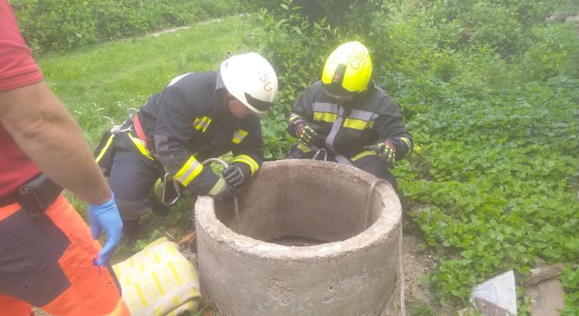 Gyors összefogással mentették meg a kútba esett idős asszony életét