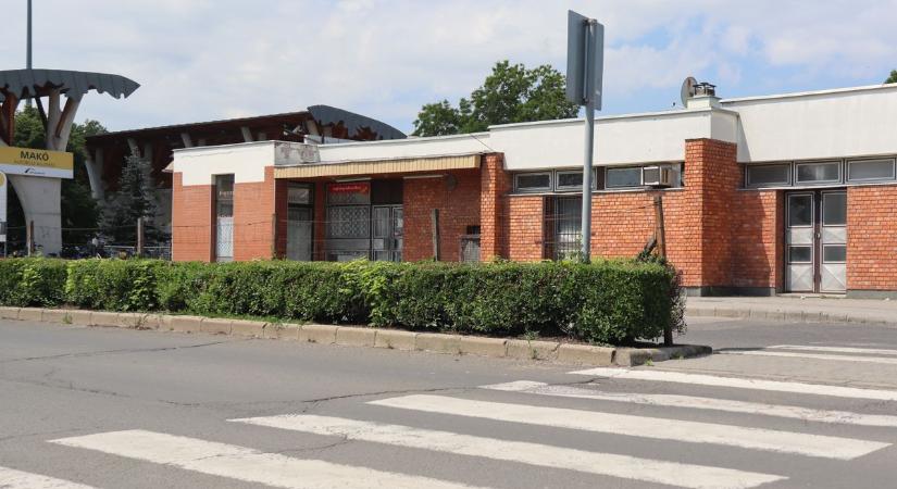 Elgázoltak egy gyalogost a zebrán, az eset a városházán is szóba került