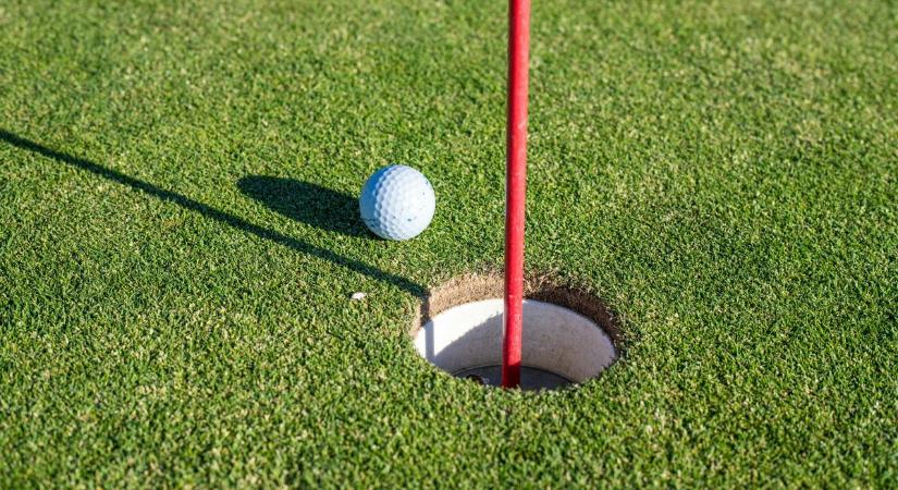 Balaton-parti golfpályán találtak egy veszélyes idegenhonos teknőst (galéria)