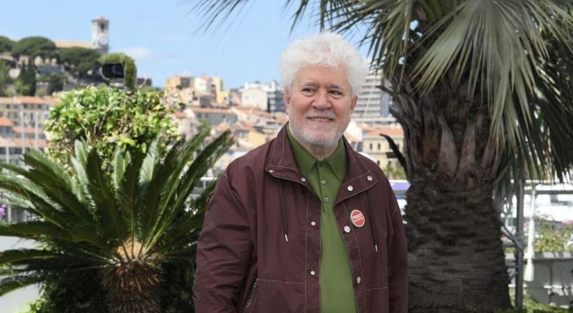 Cannes: színes, elegáns forgatag és Pedro Almodóvar érdekes filmkísérlete