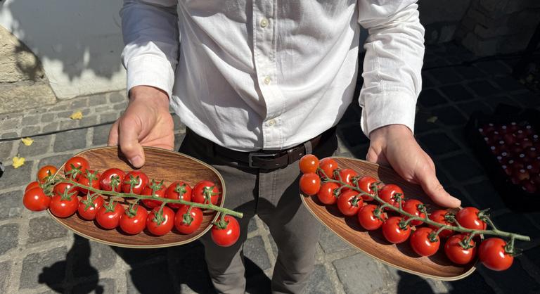 Egy év alatt megduplázódott a magyar friss termékek forgalma a legnagyobb hazai online szupermarketnél