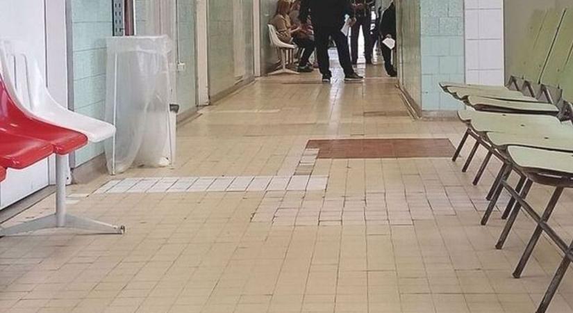 Nem új fenyegetés a hantavírus, még sincs ellene vakcina