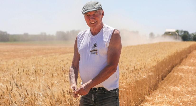 Jöhet az ukrán gabona, de a somogyi gazdákat ez nem rázta meg különösebben, egyelőre kivárnak