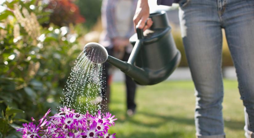 Ez a májusi locsolási hiba nyárra tönkreteheti a kertedet