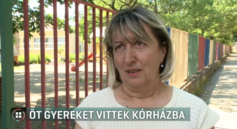 Mérgező nárciszhagyma miatt vittek kórházba öt óvodást Várpalotán