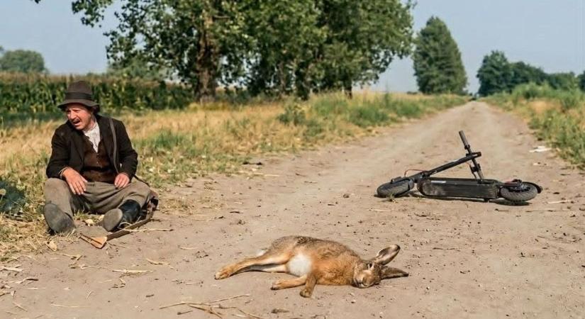 Akkorát rúgott a nyúl a rolleresbe, hogy felrobbant az internet – íme a legjobb mémek