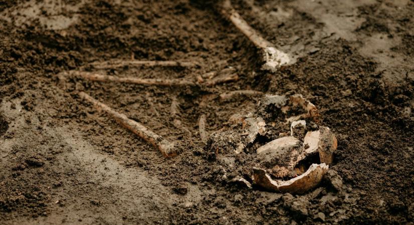 Világháborús katonasírokat tártak fel Hollóházán