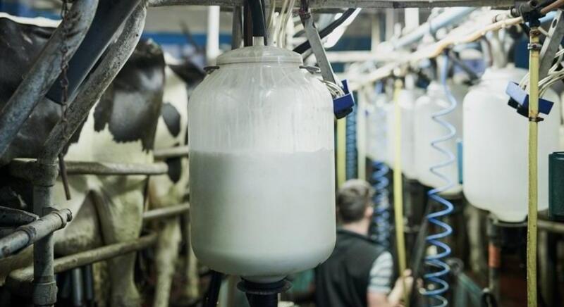 Jelentős növekedés a tejágazatban