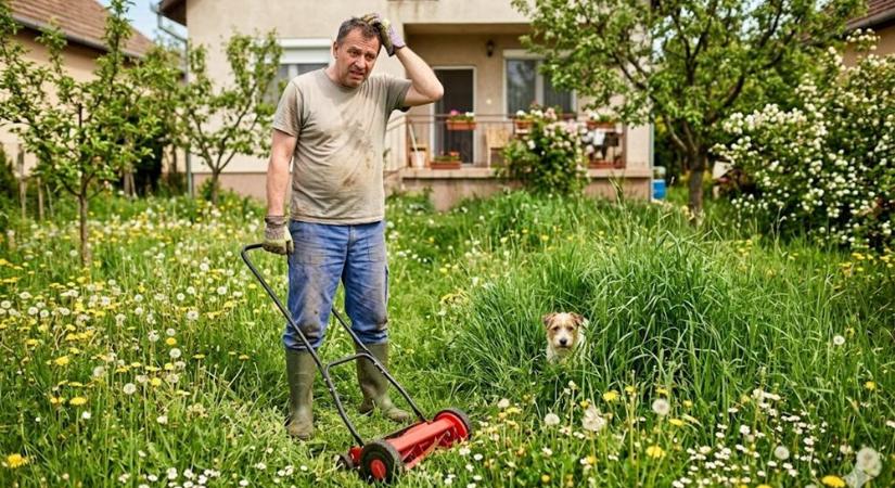 Vágatlan május: nyírjuk a füvet májusban, vagy hagyjuk végre békén a gyepet?