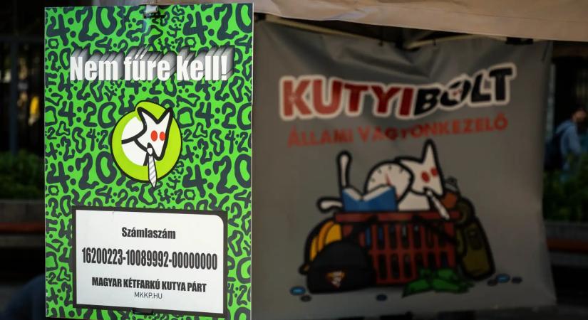 Bíróságra viszi a Kutyapárt a 686 milliós visszafizetési kötelezettséget