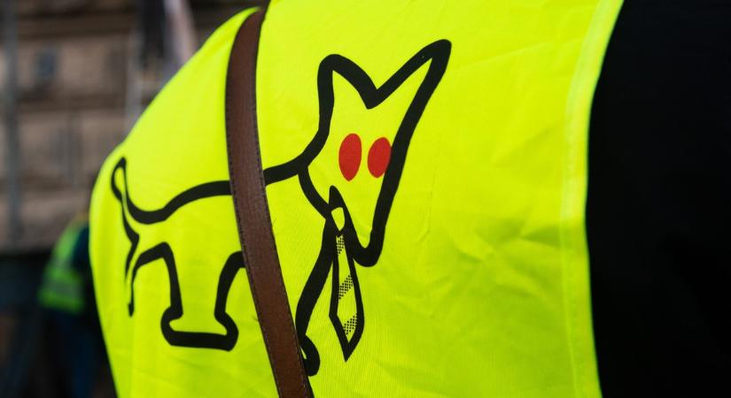 Bíróságon támadja meg a Kutyapárt a 686 milliós visszafizetési kötelezettséget