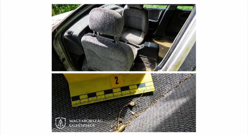 „Vadat és halat, s mi jó falat" – Nem mézet gyűjtött a balatoni rapsic