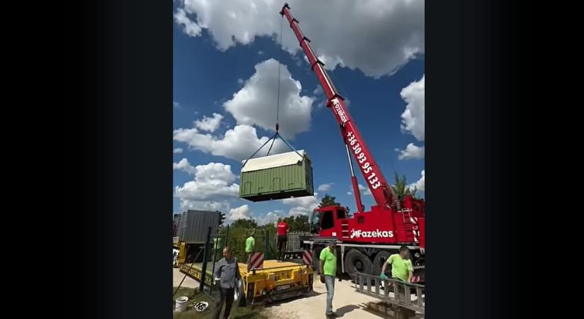 Daruval emelték be Samu elefántot a veszprémi állatkertbe (videó)
