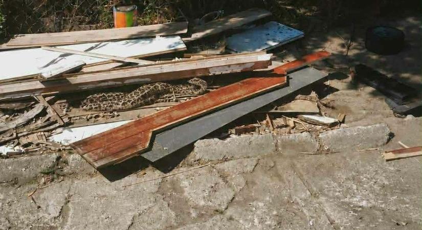 Kígyót láttak Tiszakeszin; egyelőre nincs meg