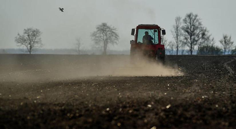 Nem kell pánikolni az ukrán áruk miatt, gyors intézkedést ígér a miniszter