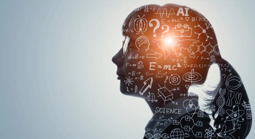 Csak a leginteligensebbek képesek hibátlanul kitölteni ezt a feketeöves IQ-tesztet