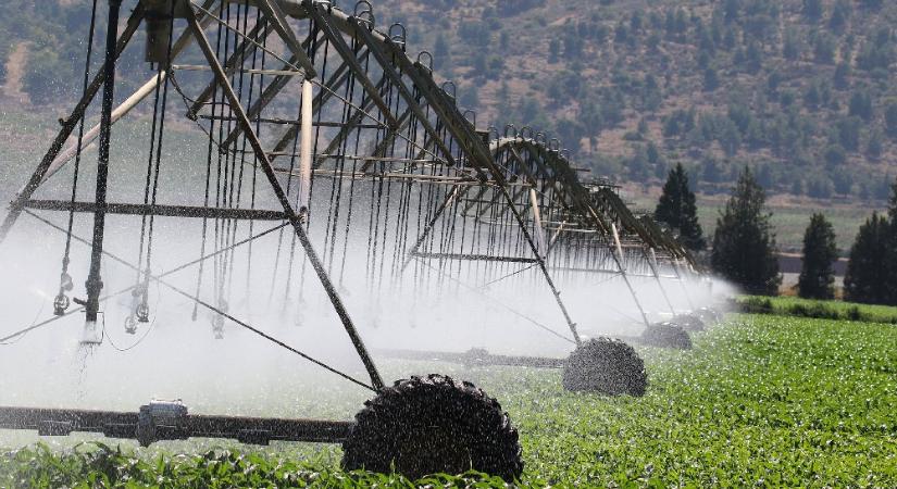 Rekordnagyságú az idei agrárköltségvetés