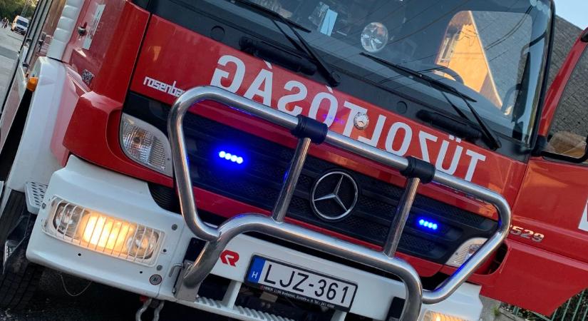 Lángok csaptak fel egy pápai lakásban, egy cicát is kimentettek a tűzoltók