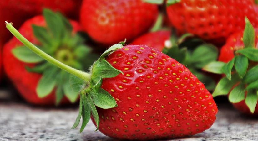 Május elejétől folyamatosan drágul az import szamóca Lengyelországban