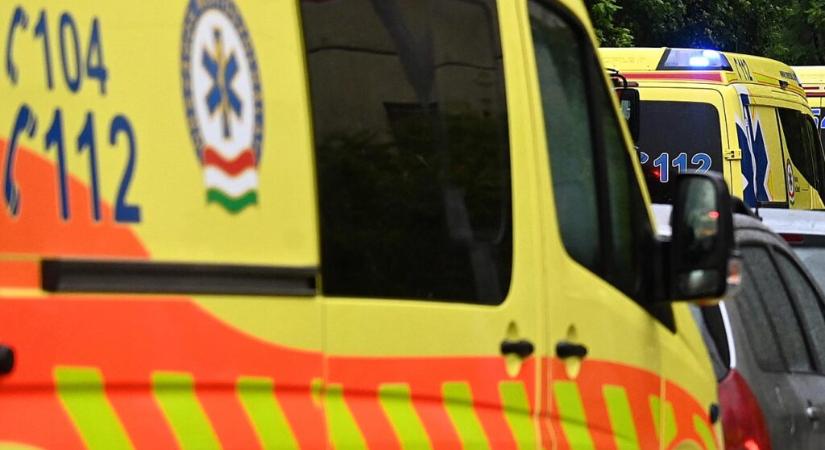 Mérgező nárciszhagyma miatt vittek kórházba 5 óvodást Várpalotán