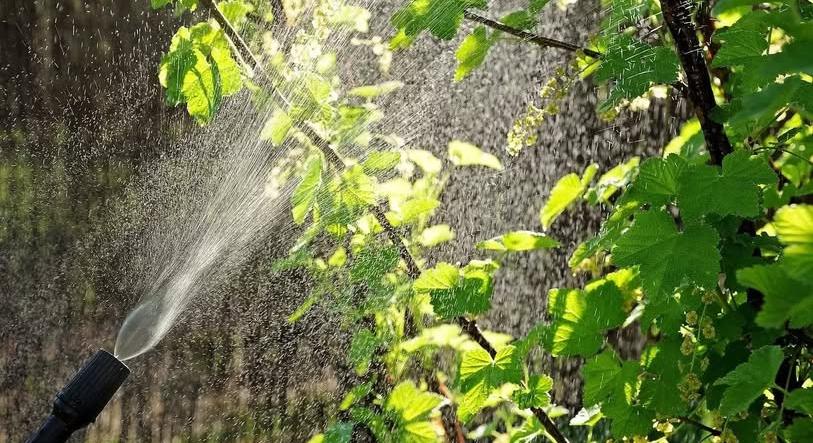 Győr-Szol – Éjszakai növényvédelmi munkák, permetezéssel
