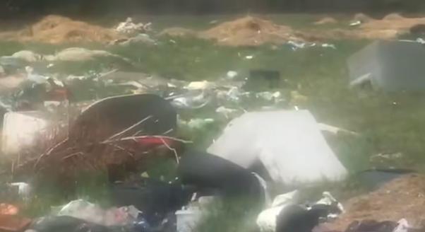 Bomló tetemek bűzlenek Nagykáta határában: elrettentő látványt nyújt a száz köbméternyi veszélyes szemét - videó